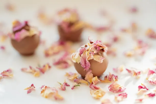 Coin365Bet Kasino Android/iOS Aplikácia